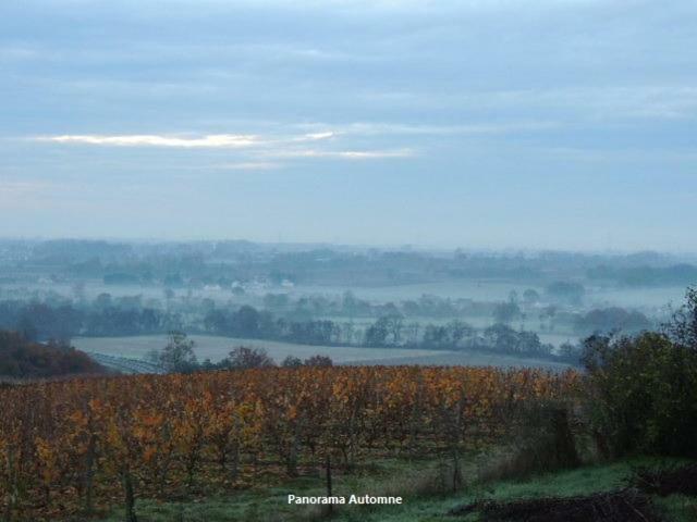 Gite Layon 6 Places Moulin De La Placette Faye-d'Anjou المظهر الخارجي الصورة